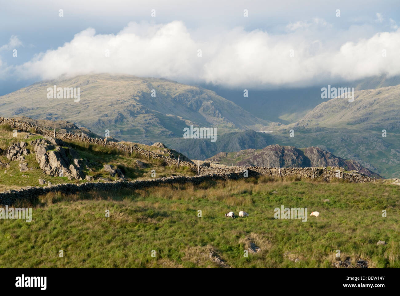 Abend-Blick vom Ulpha verliebte sich in den Lake District, Cumbria Stockfoto