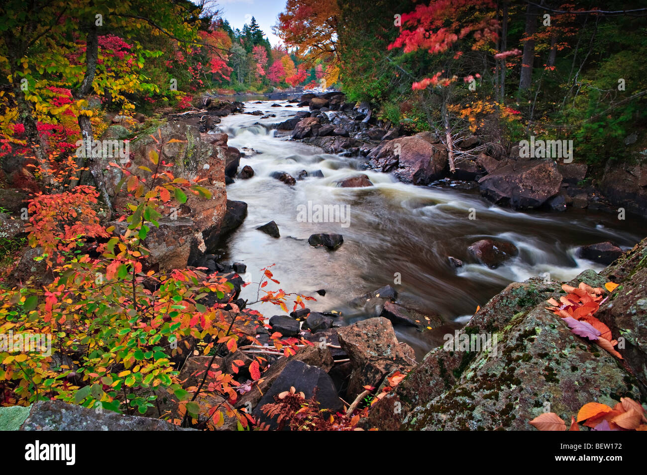 Riviere du Diable umgeben von Herbstfarben im Parc national du Mont Tremblant, Provincial Park von Quebec, Laurentides, Quebec Stockfoto