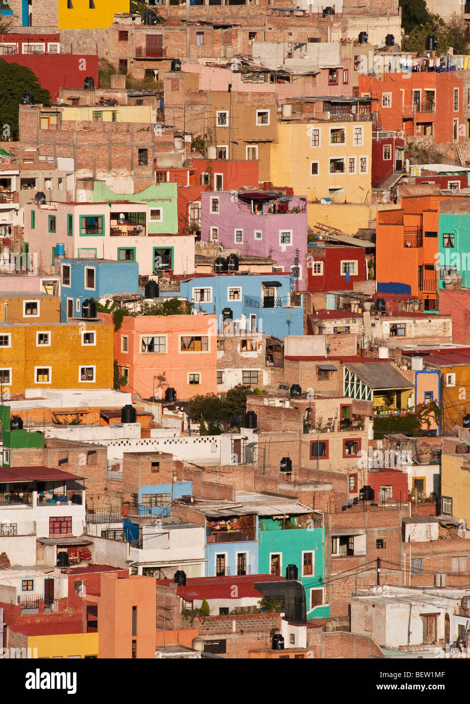 Häuser auf einem Hügel in Guanajuato, Mexiko. Stockfoto