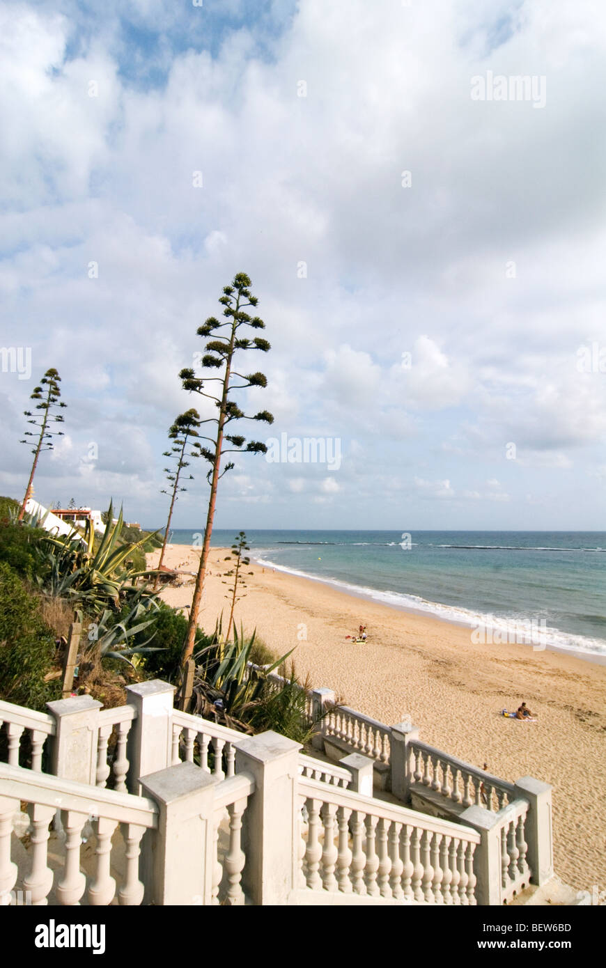 Der Strand von Caños de Meca an der Costa De La Luz in Andalusien, Spanien. Stockfoto