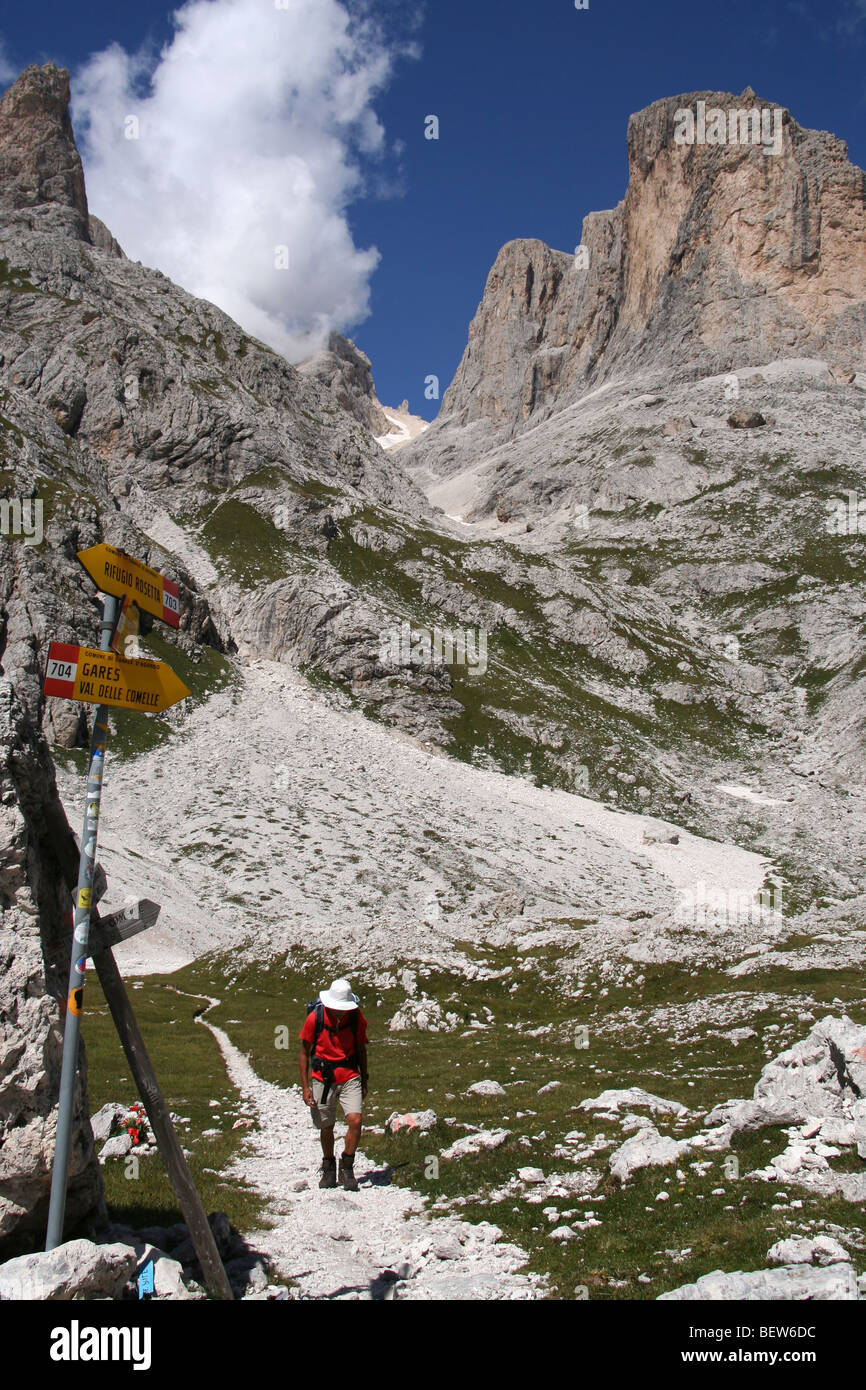 Walker im Park der Pale di San Martino, italienischen Dolomiten Sommer Stockfoto