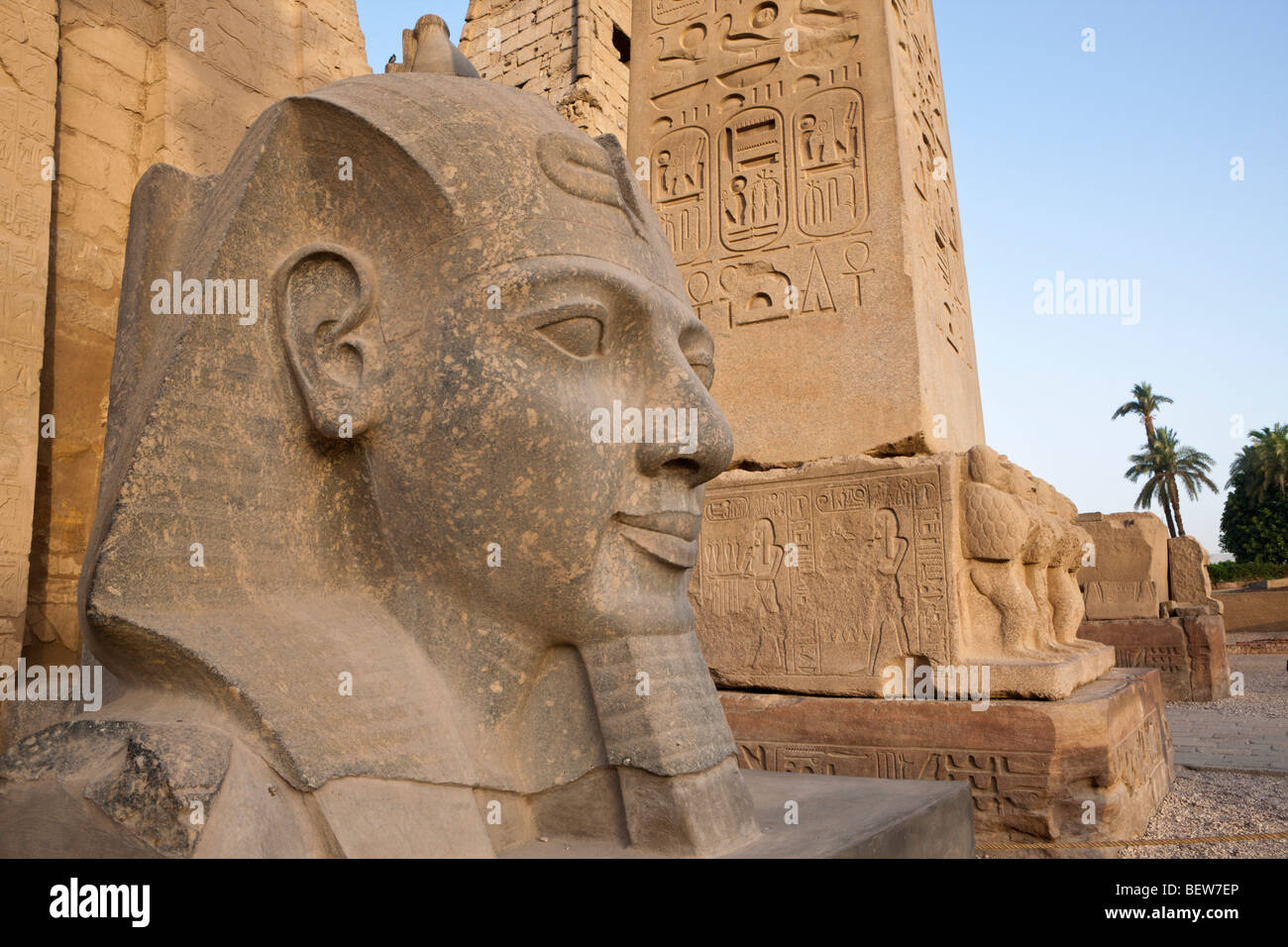 Leiter des Ramses II Statue im Luxor-Tempel, Luxor, Ägypten Stockfoto