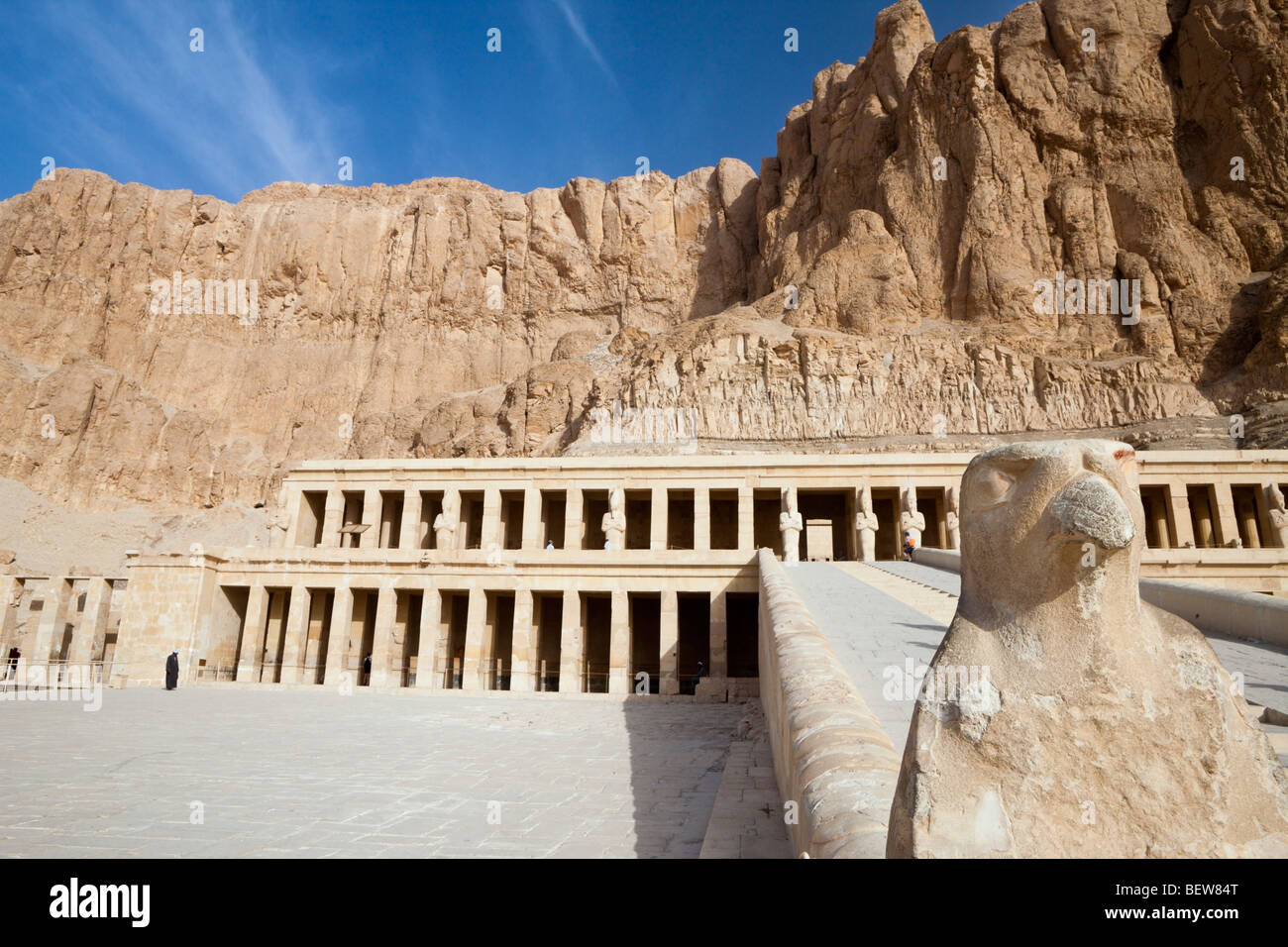 Horus Falke am Aufstieg der Leichenhalle Tempel der Königin Hatshepsut, Luxor, Ägypten Stockfoto