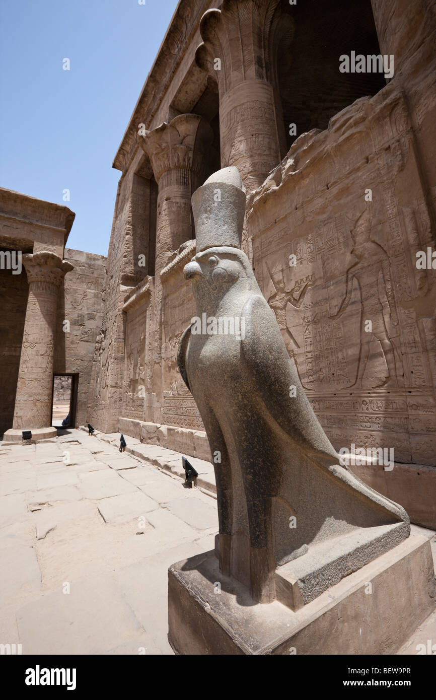 Horus-Falken-Statue am Tempel des Horus in Edfu Edfu, Ägypten Stockfoto