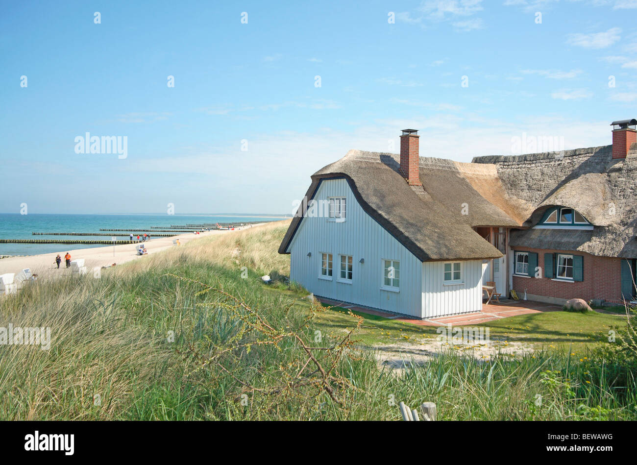 Strohgedeckte Haus mitten in den Dünen von Darß, Deutschland Stockfoto