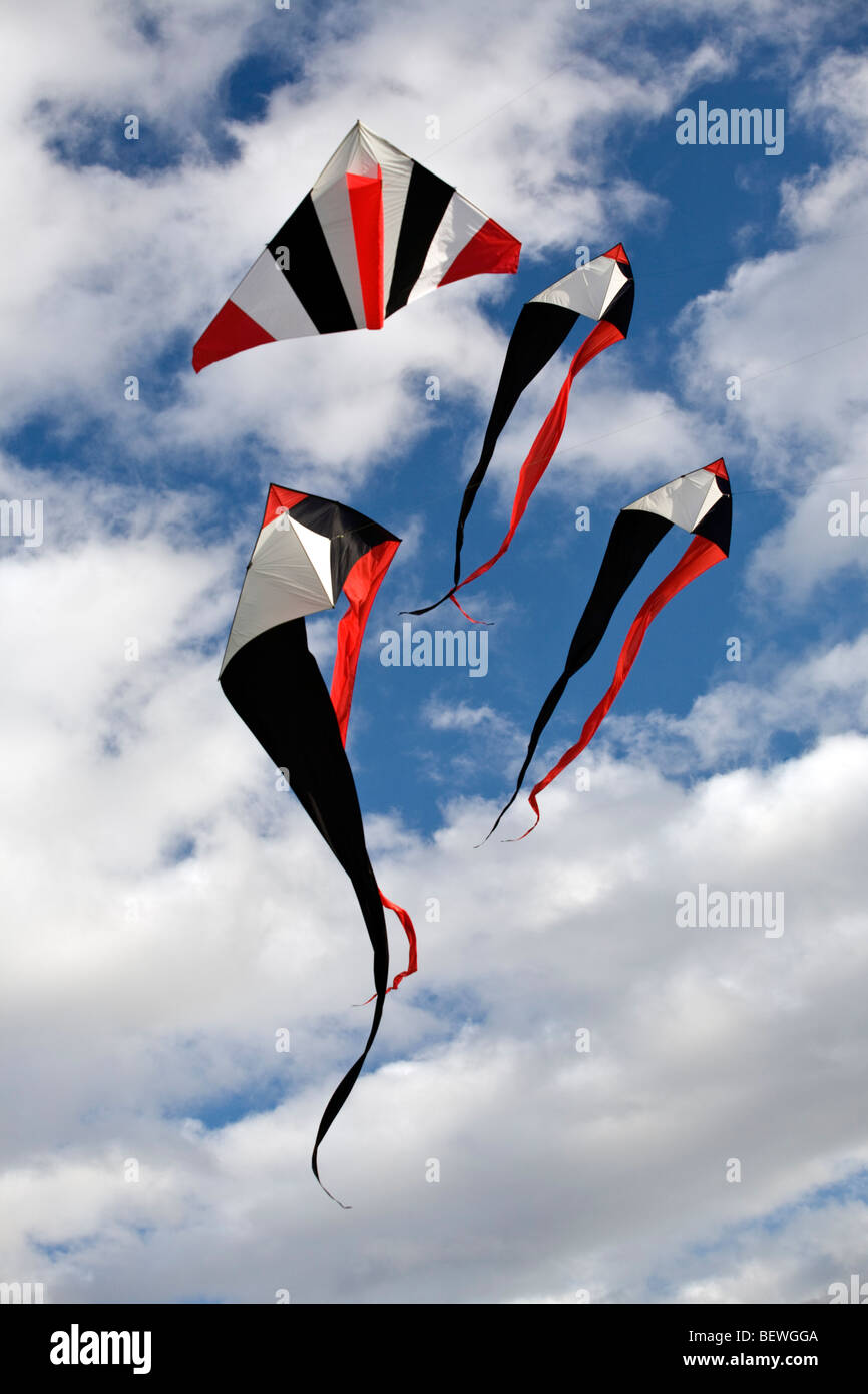 Fliegende Drachen zum Zeitpunkt des "Cervolix" Air Festival (Auvergne - Frankreich). Cerfs-Volants Lors du Festival herbeieilenden "Cervolix" Stockfoto