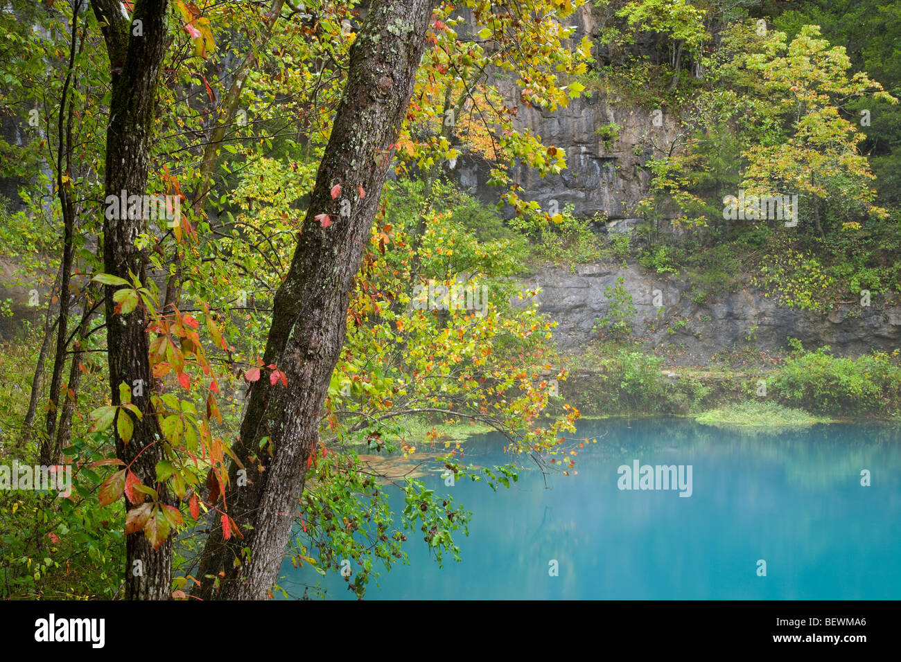 Alley Spring, Ozark National malerischen Parkanlagen, Missouri Stockfoto