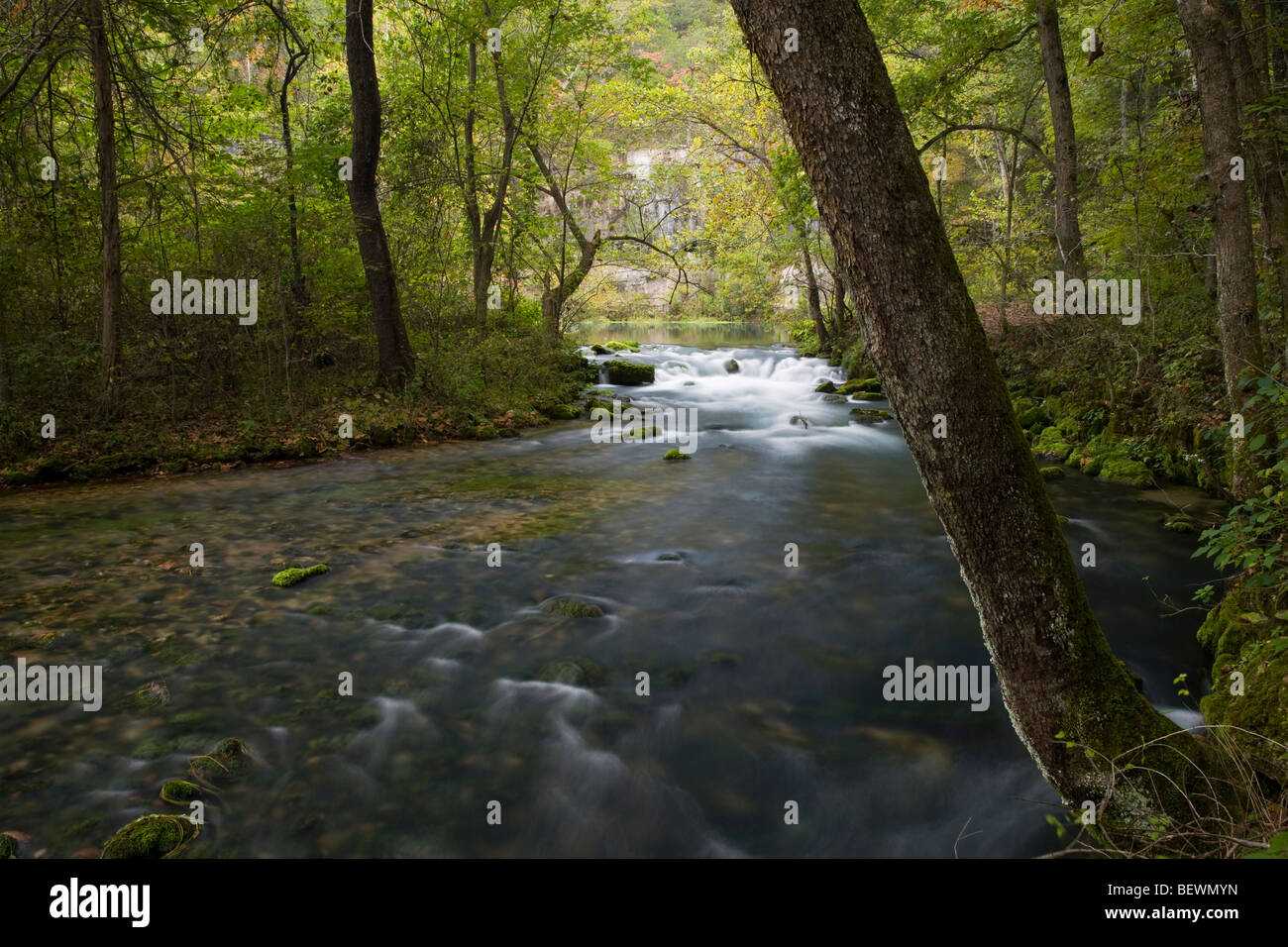 Alley Spring, Ozark National malerischen Parkanlagen, Missouri Stockfoto