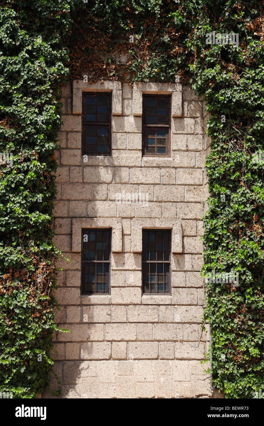 Castillo de San Miguel. Kanarische Inseln-Teneriffa, Spanien Stockfoto