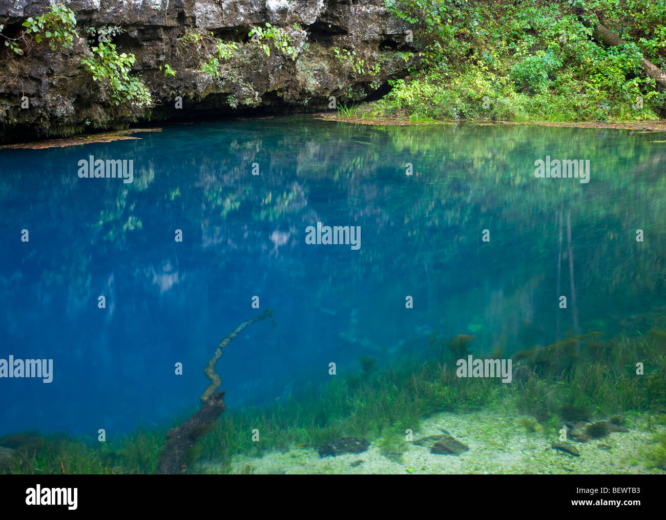 Blaue Feder (am Fluss Strom), Blue Spring Naturgebiet, Ozark National malerischen Parkanlagen, Missouri Stockfoto