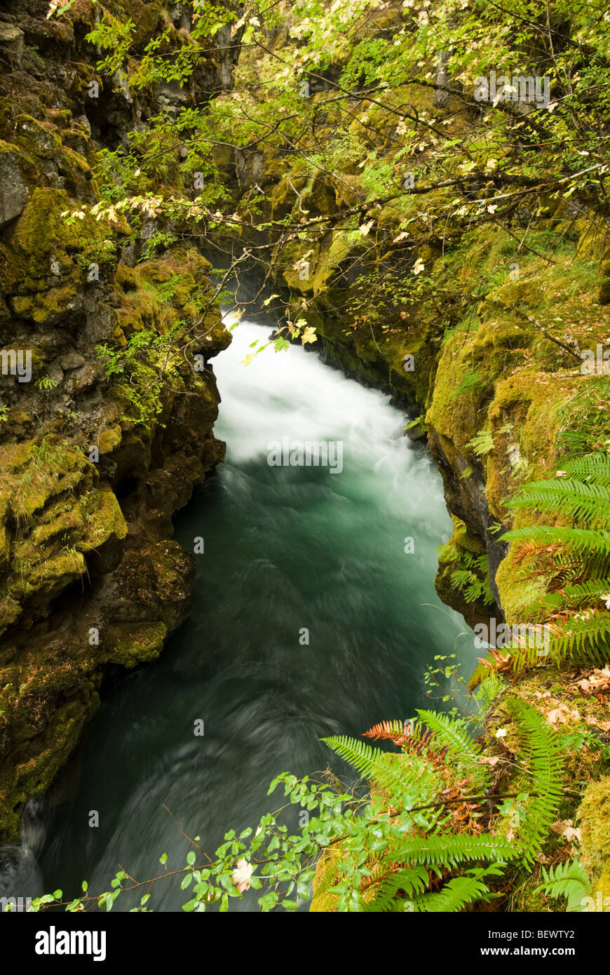 Der Rogue River von den Schurken Schlucht Lehrpfad, Oregon. Stockfoto