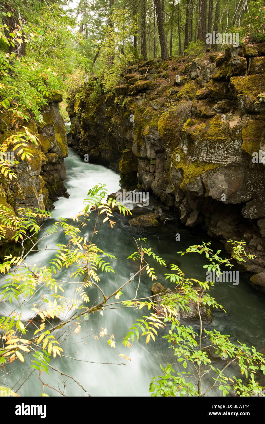 Der Rogue River von den Schurken Schlucht Lehrpfad, Oregon. Stockfoto