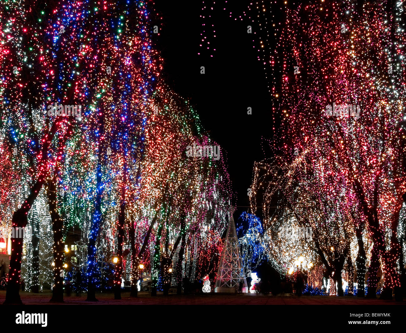 Weihnachten Dekorationen im freien - Lichter auf Bäumen Nacht Stockfoto