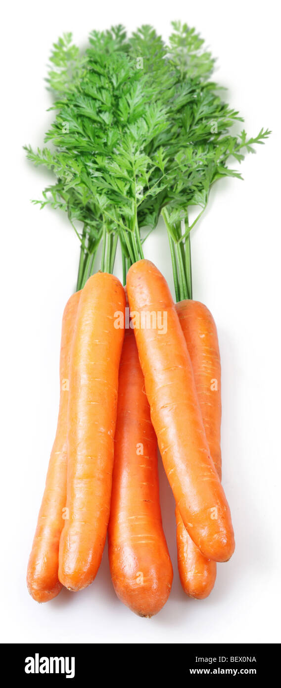 Möhren auf weißem Hintergrund Stockfoto