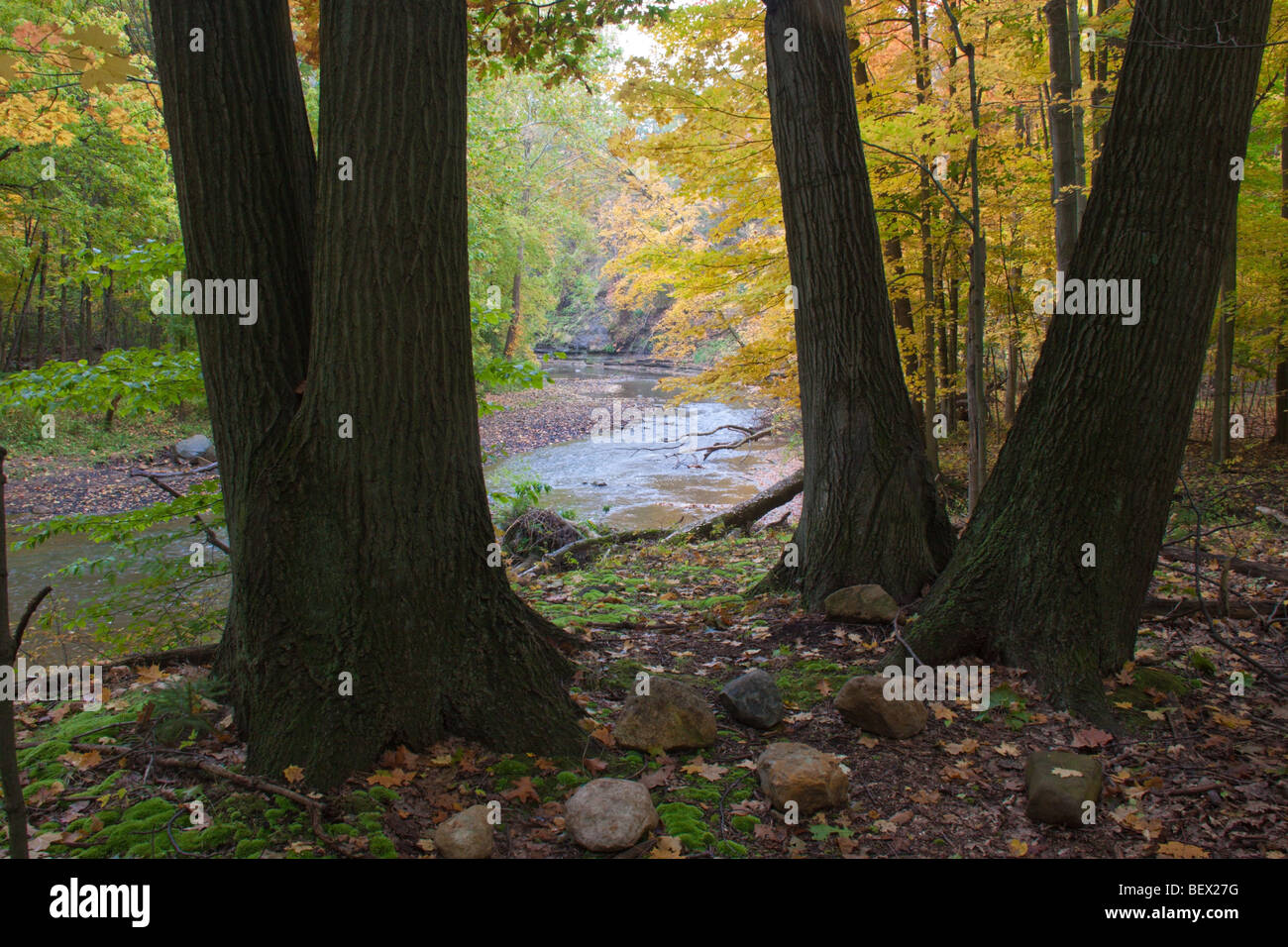 Herbstfarben entlang der Rocky River, Ohio Stockfoto