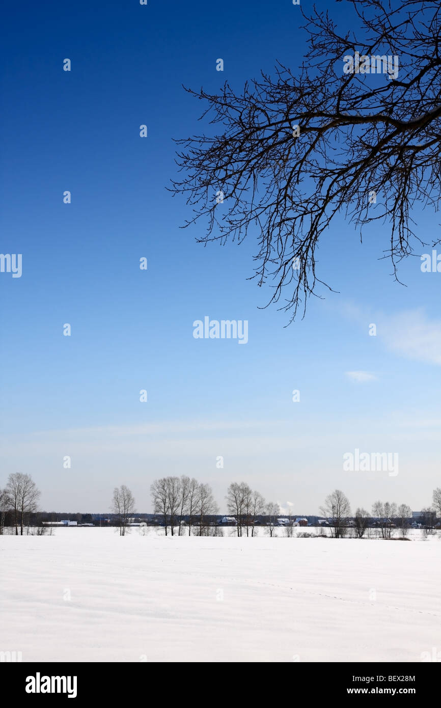 Sonnetag ländlichen Winterlandschaft. Stockfoto