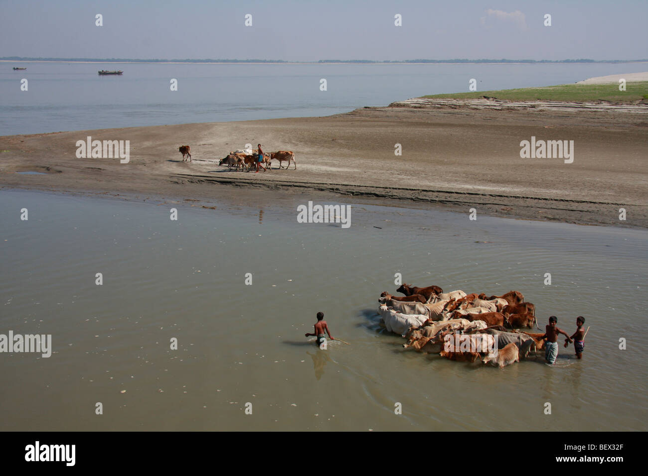 In Bangladesch aufgrund des Klimawandels sind im Norden Zweifel. Es gibt also keine Bäume, keine Pflanzen. Menschen leben in Armut. Stockfoto