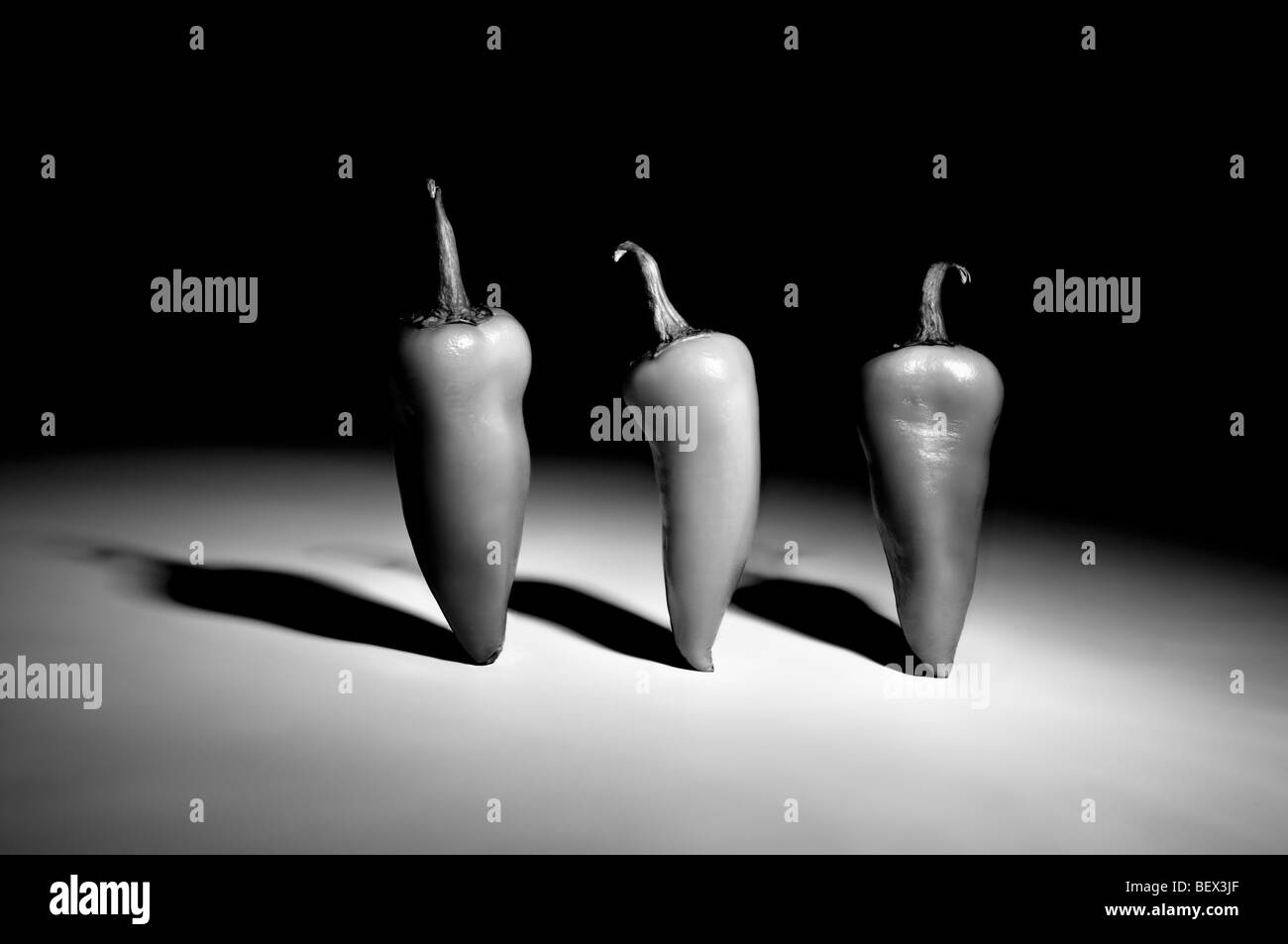 Schwarz / weiß künstlerische Studioaufnahme von drei Chilischoten aufstehen mit dramatische Beleuchtung, Schatten zu geben Stockfoto