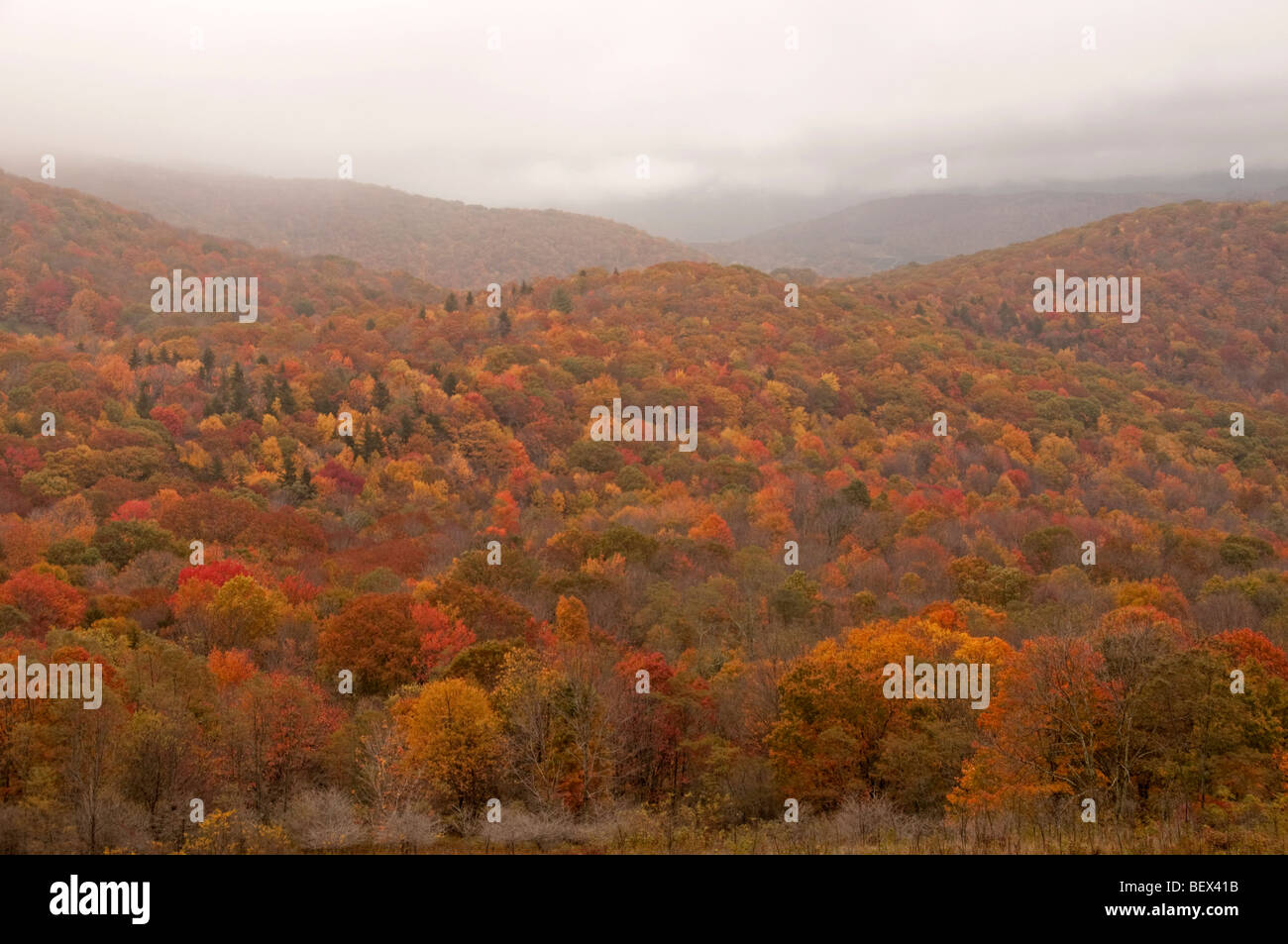 Fallfarbe angesehen von Sugarlands Aussichtspunkt, Virginia Stockfoto