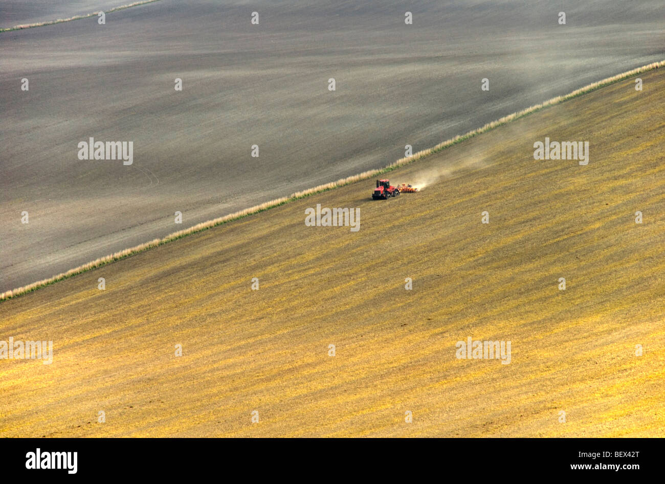 Ackerbau im Vale of Pewsey, Wiltshire, England Stockfoto