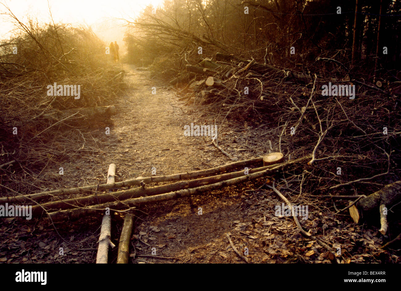 Zerstörung durch Autobahn Gebäude Newbury, England, Grossbritannien, GB. Stockfoto