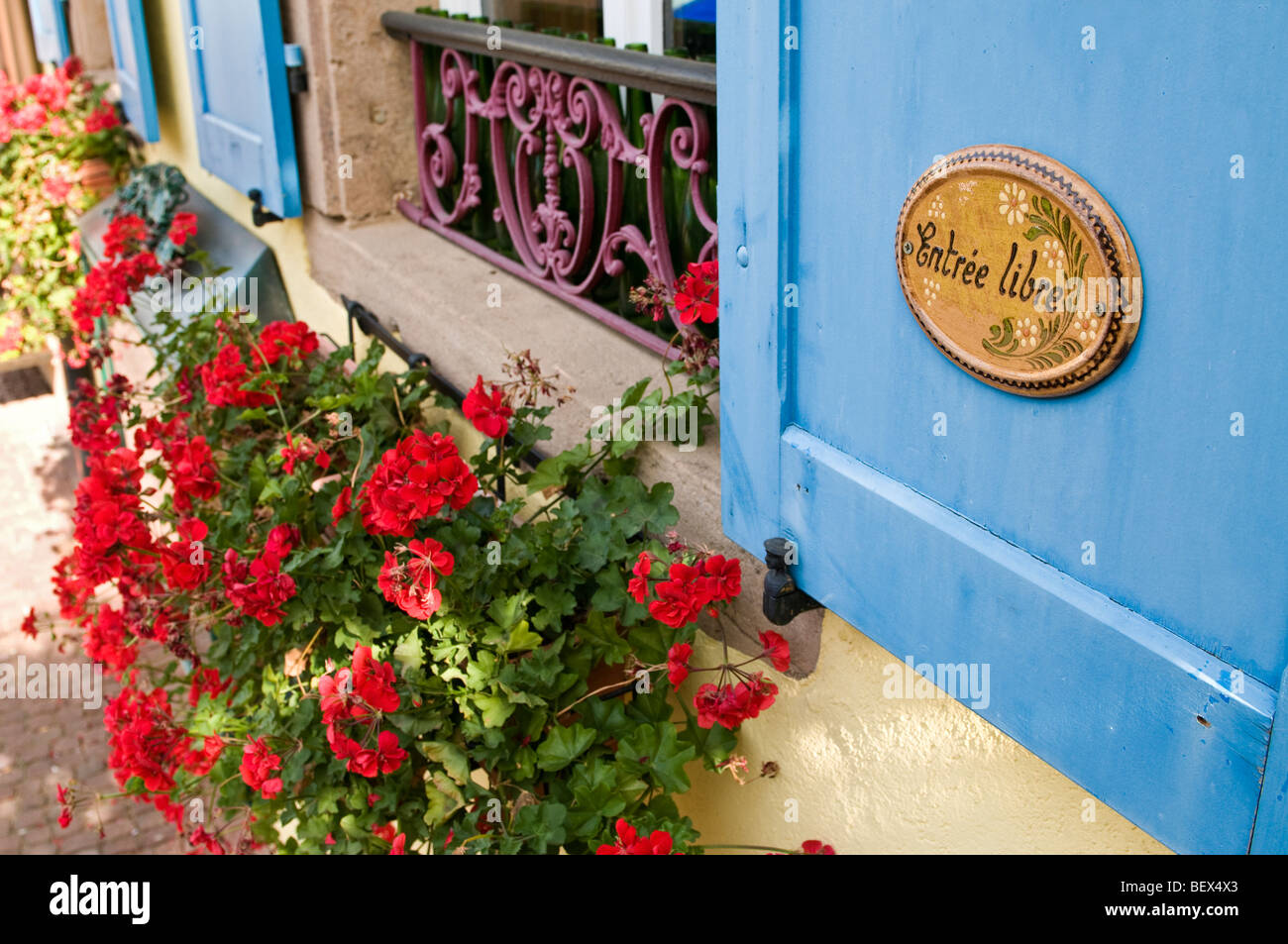 Typischen malerischen Fensterläden Blumen und "Entree Libre" unterzeichnen außen Vinothek im Elsass Frankreich Stockfoto
