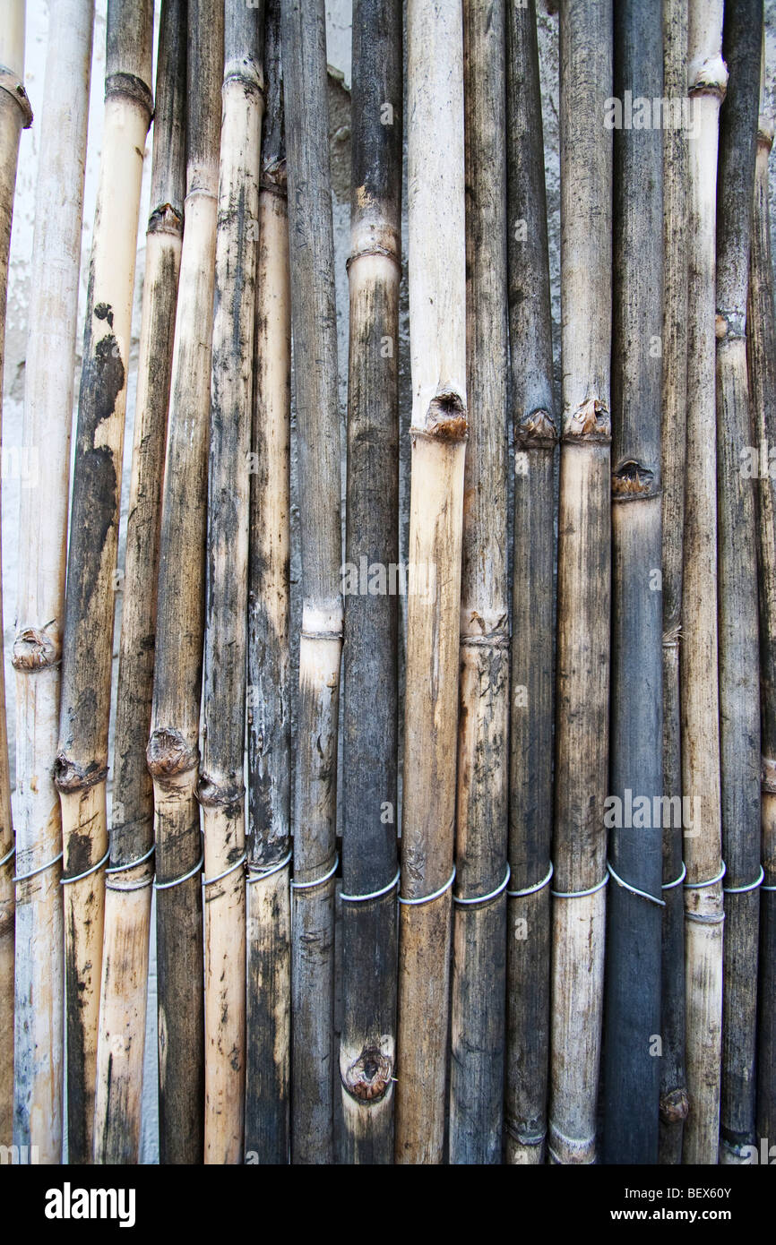 Gespaltener bambus -Fotos und -Bildmaterial in hoher Auflsung  Alamy
