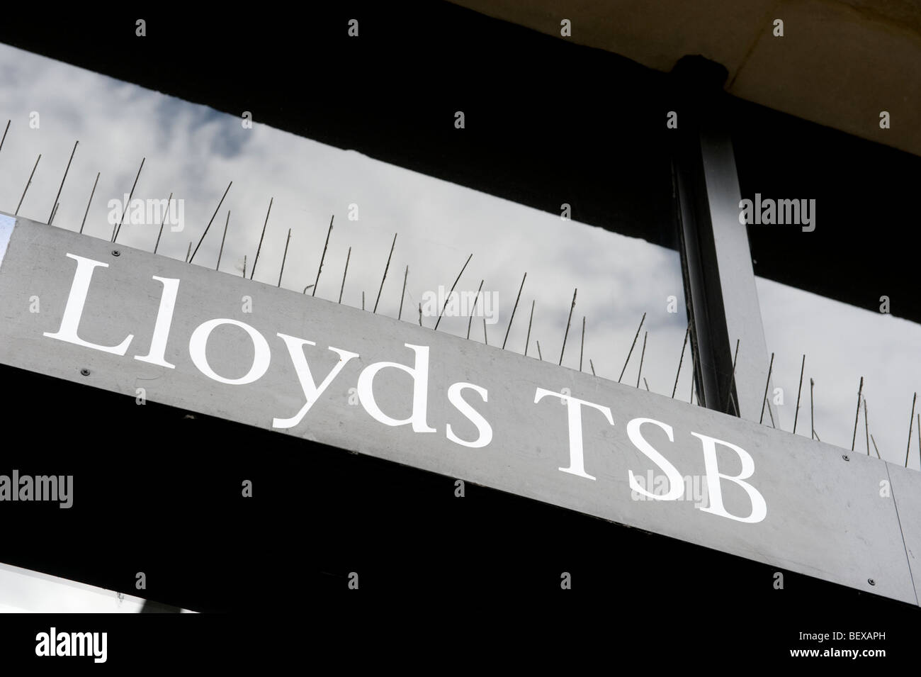 Metall-Spitzen, Tauben, die Verschmutzung eines Gebäudes über ein Zeichen von Lloyds TSB Bank zu stoppen Stockfoto