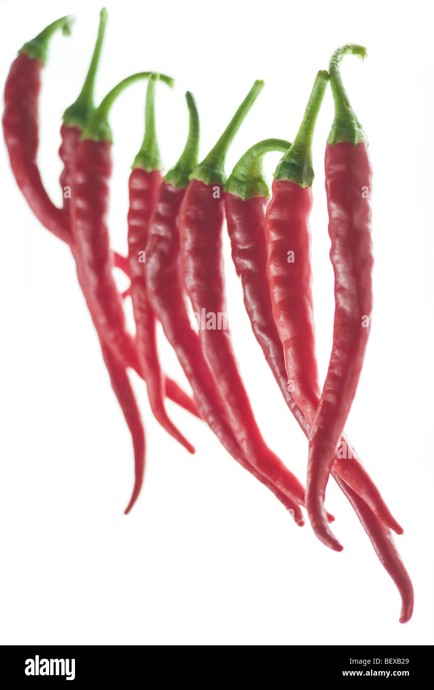 Rote lange dünne Chilischoten mit grünen Stielen auf einen weißen Hintergrund Stockfoto
