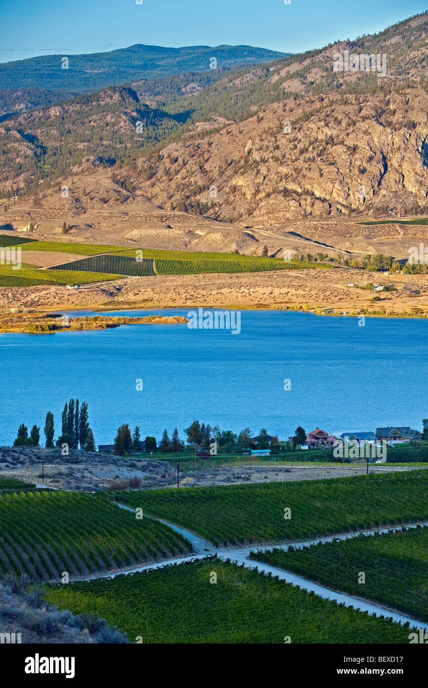 Landschaft und Weinberge säumen Osoyoos Lake in der Nähe der Stadt Osoyoos, Okanagan-Similkameen Region Okanagan, Britisch-Kolumbien Stockfoto