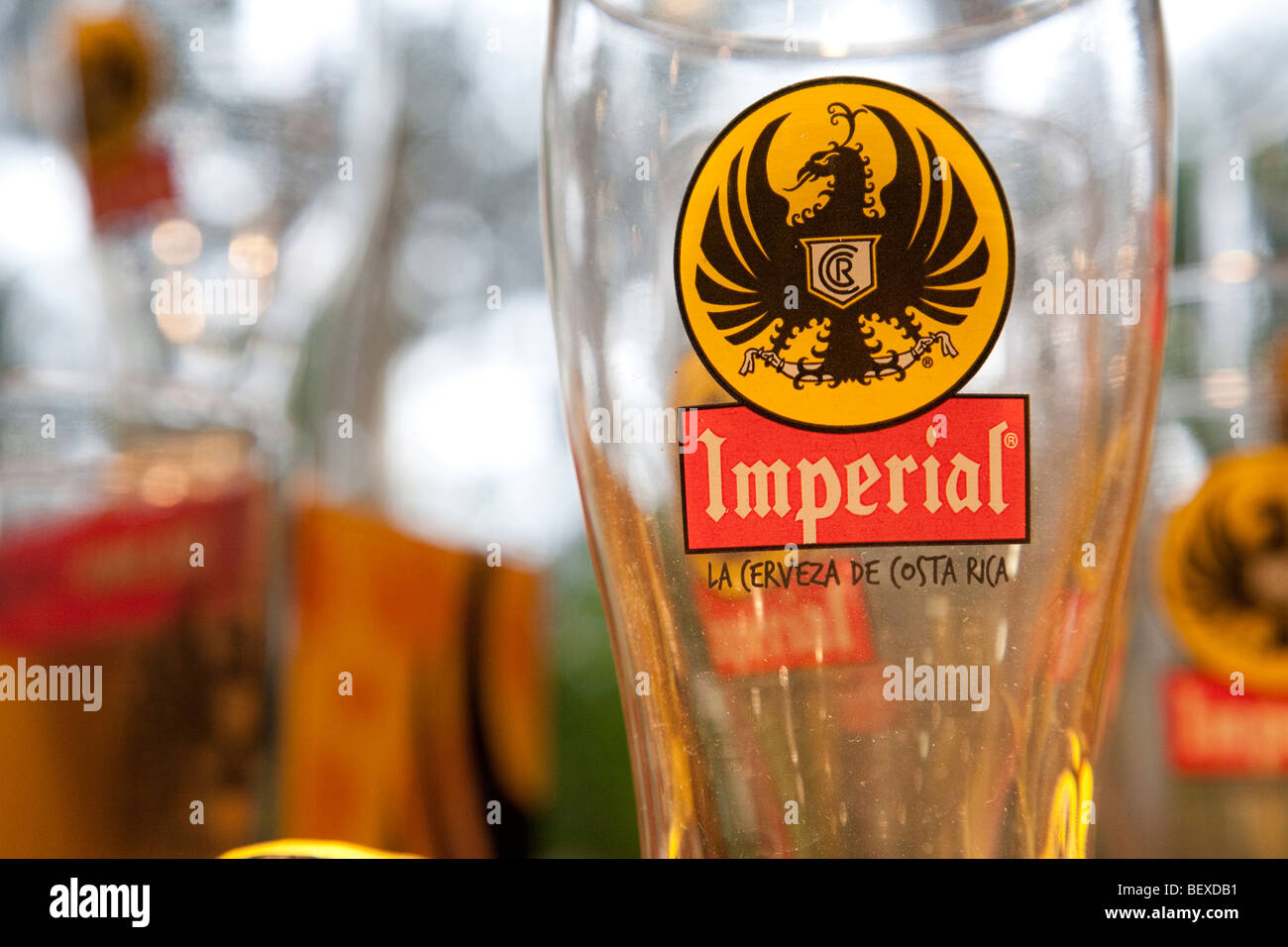 Imperial Bier, Glas. Lokale Gebräu aus Costa Rica Stockfotografie Alamy