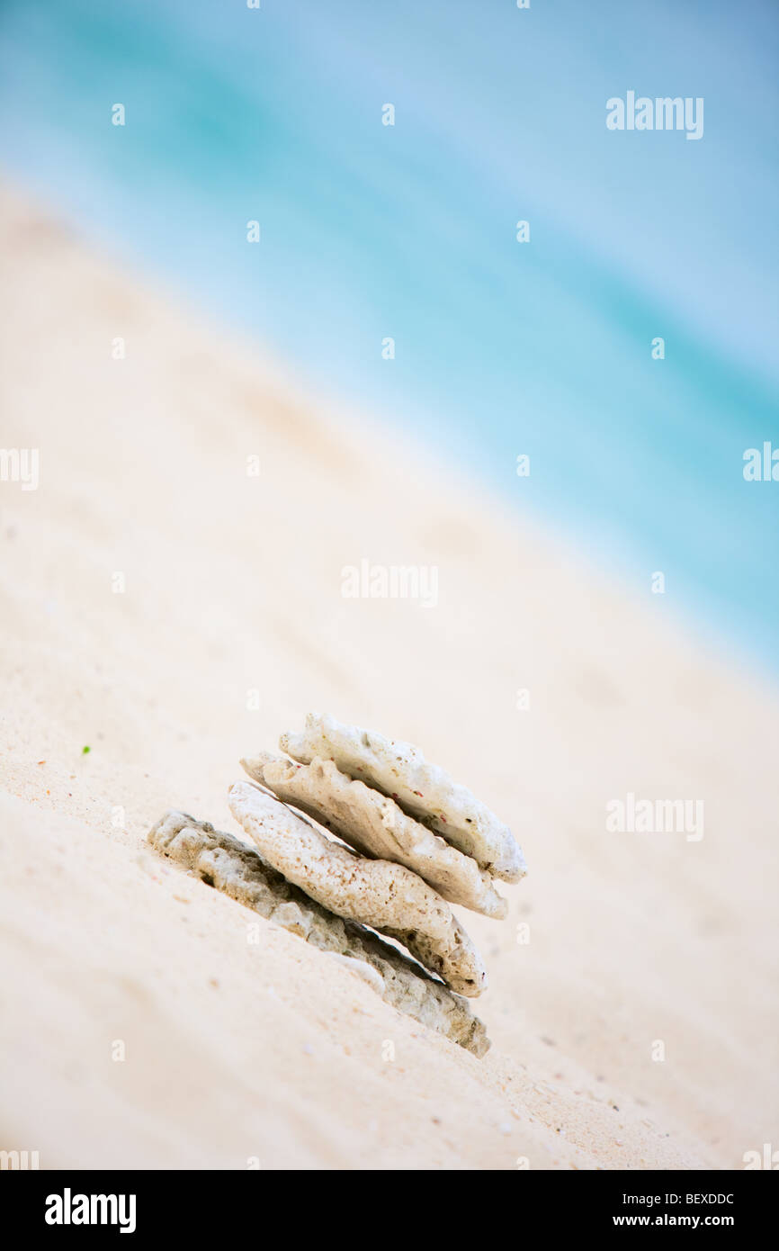 Ausgewogene Steinen. Stapel von weißen Korallen am Meeresstrand Stockfoto