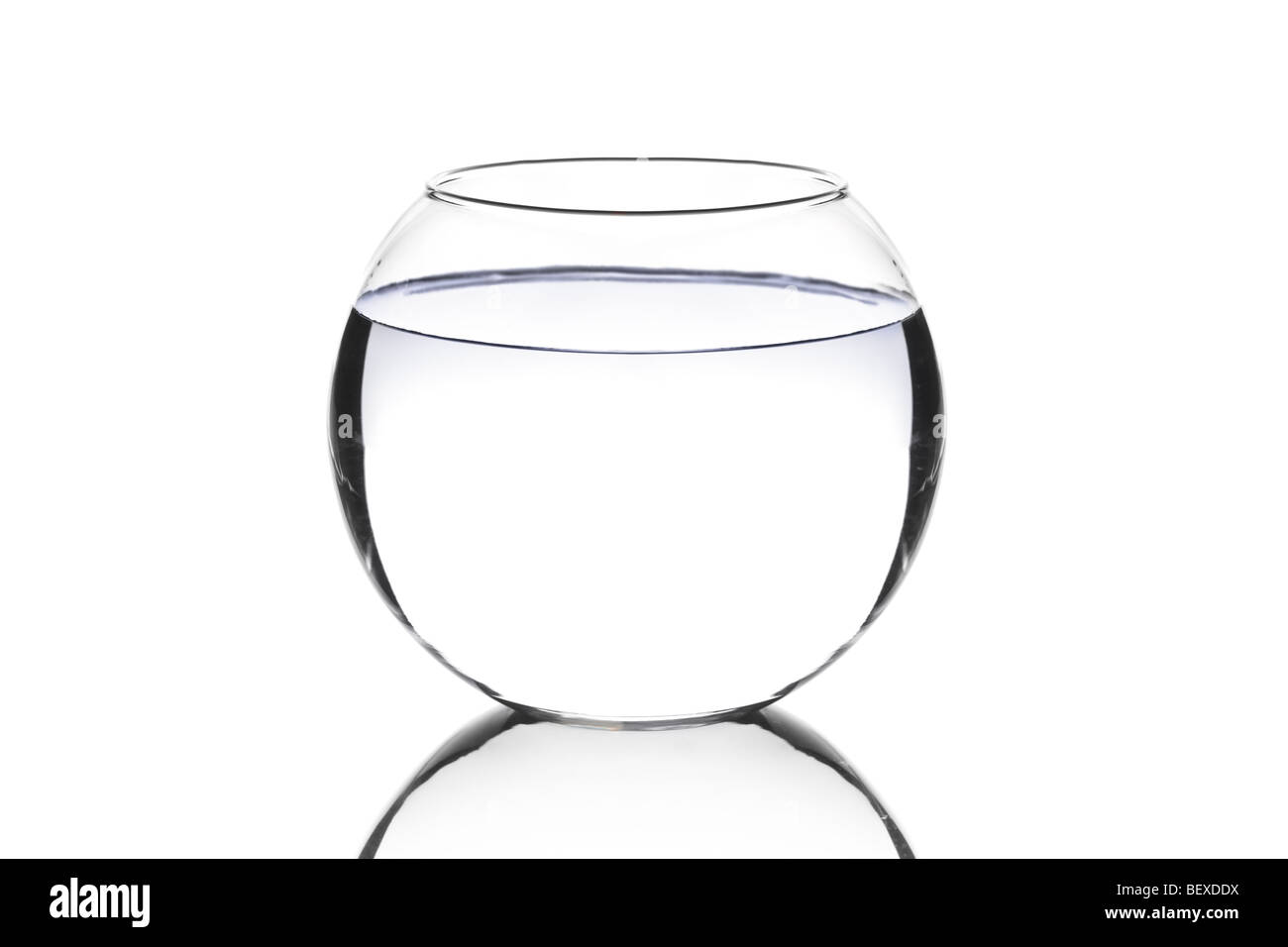 Ein leeres Goldfischglas auf weißen Hintergrund Stockfoto