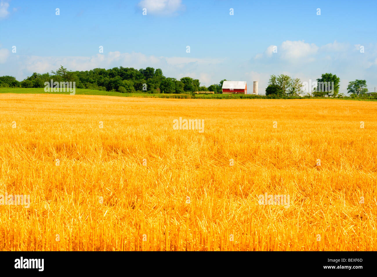 Indiana-Bauernhof Stockfoto
