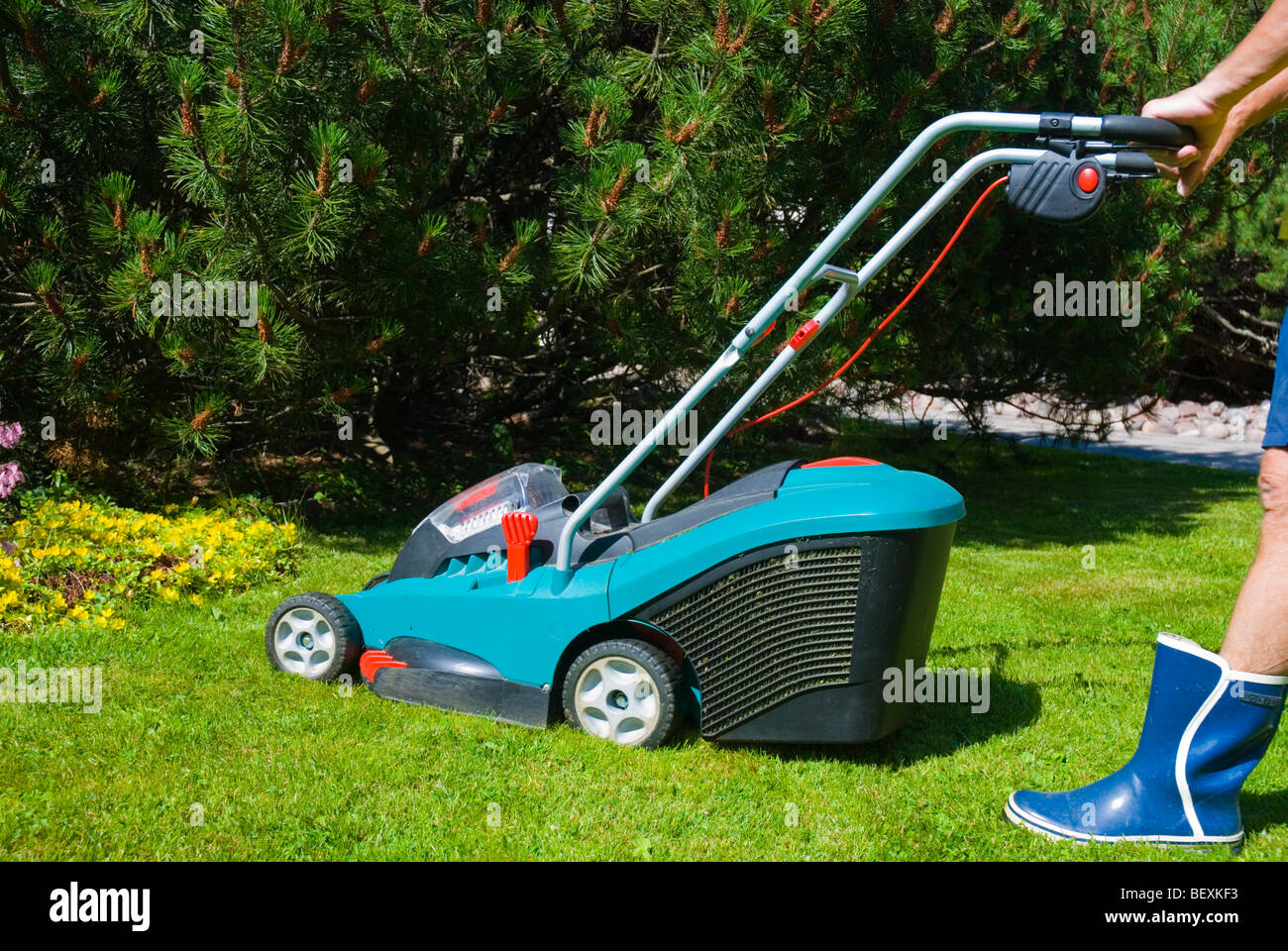 Man drückt einen elektrischen Rasenmäher in einem Garten Stockfoto