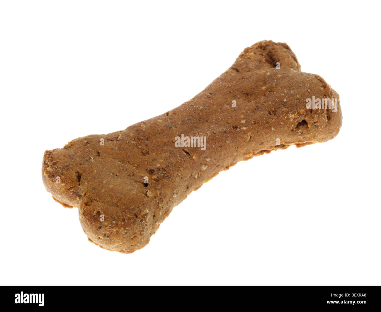 Hundeknochen Stockfoto