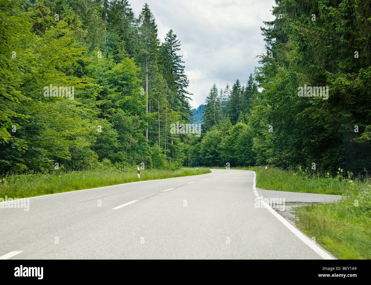 Wald Straße in den Bayerischen Alpen, Deutschland Stockfoto