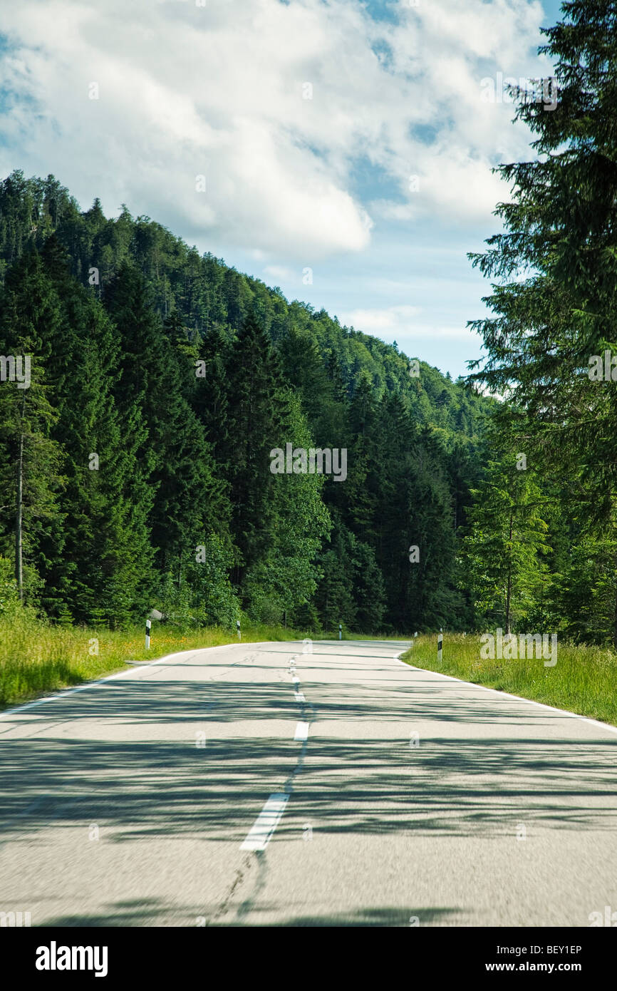Offene Straße durch einen Wald in Bayern Deutschland Europa Stockfoto