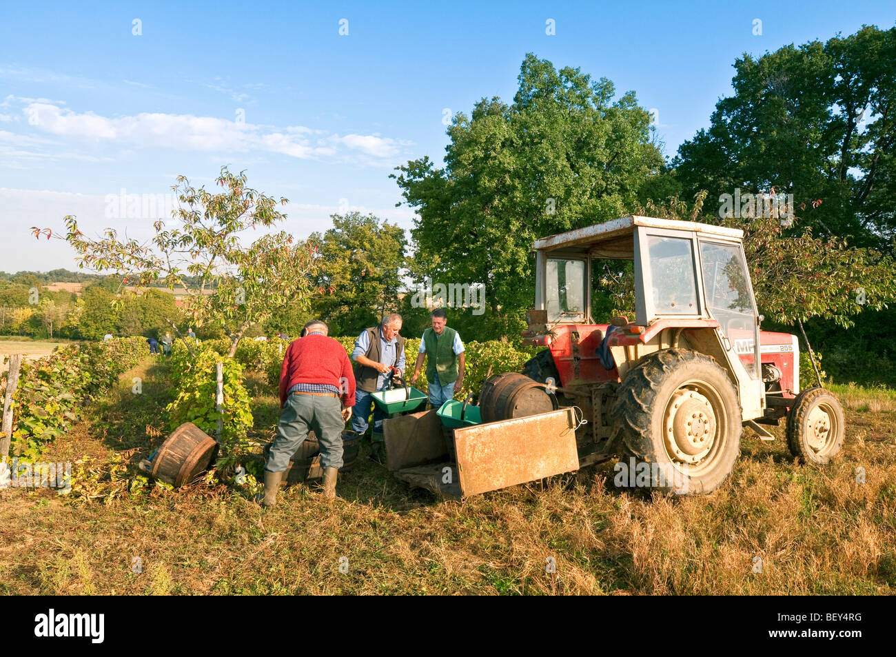 Französische Bauern im Chat während der Weinlese - Sud-Touraine, Frankreich. Stockfoto