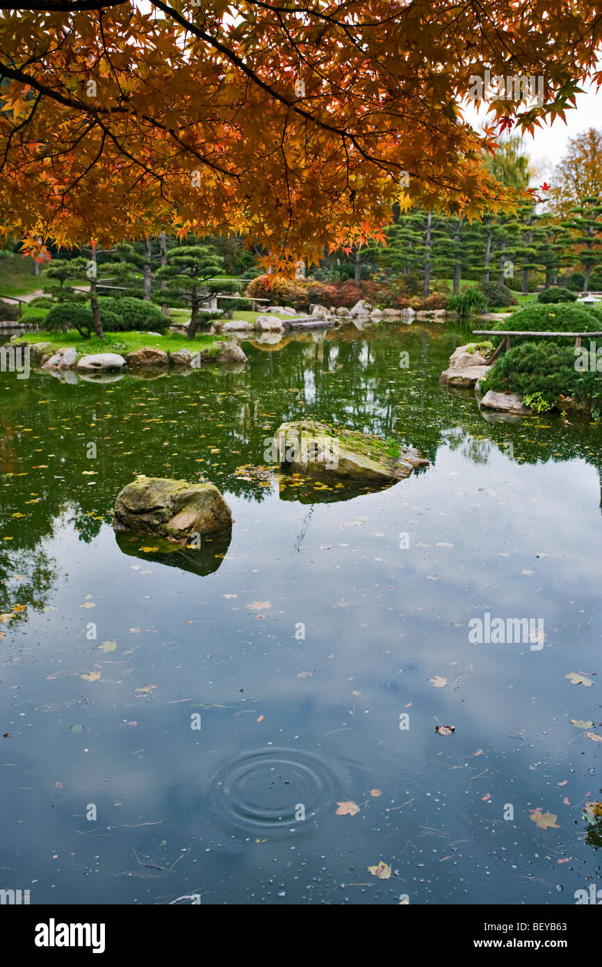 japanischer Garten im Herbst Stockfoto