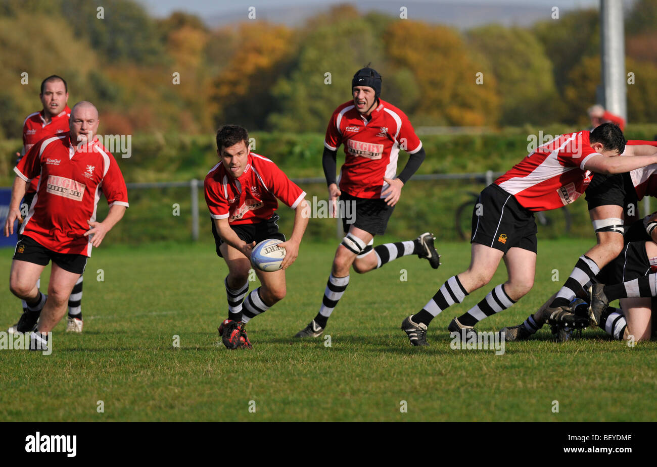 Scrum-Hälfte bereitet sich auf den Ball Stockfoto