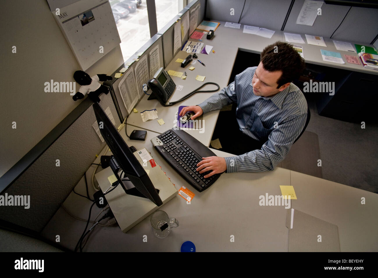 Bei eine Finanzberatung Irvine, Kalifornien arbeitet finanzielle Forscher an seinem Arbeitsplatzcomputer. Stockfoto