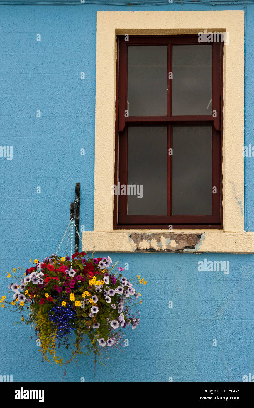 Fenster und hängenden Korb einer bunten blauen Wand Stockfoto