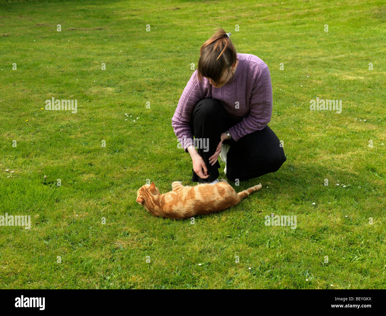 Katze ins Rollen Stockfoto