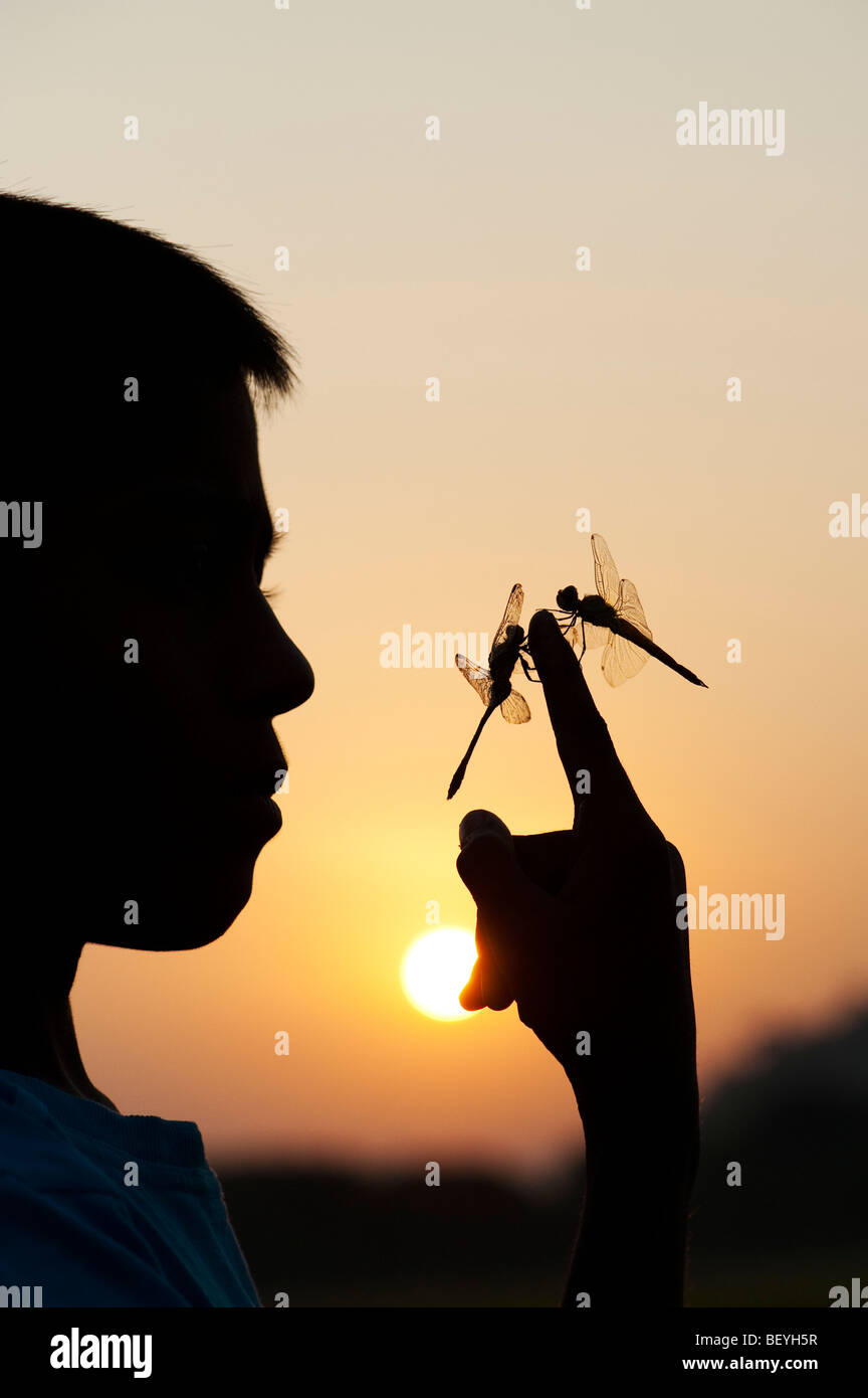 Indischer Junge mit Libellen an seinem Finger bei Sonnenaufgang. Silhouette. Indien Stockfoto