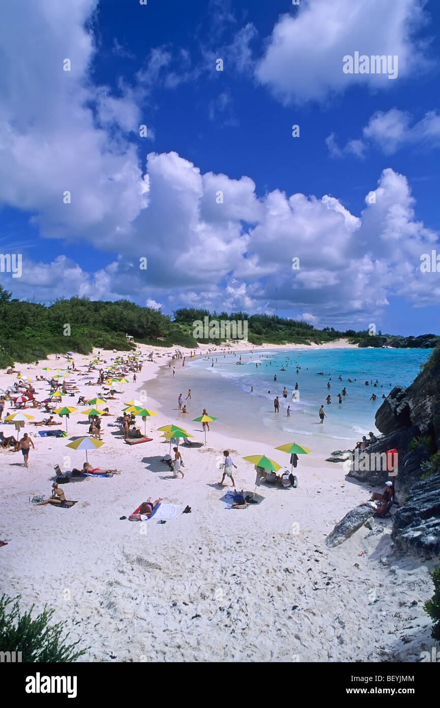 Horseshoe Bay Beach in South Shore Park auf der Insel Bermuda Stockfoto