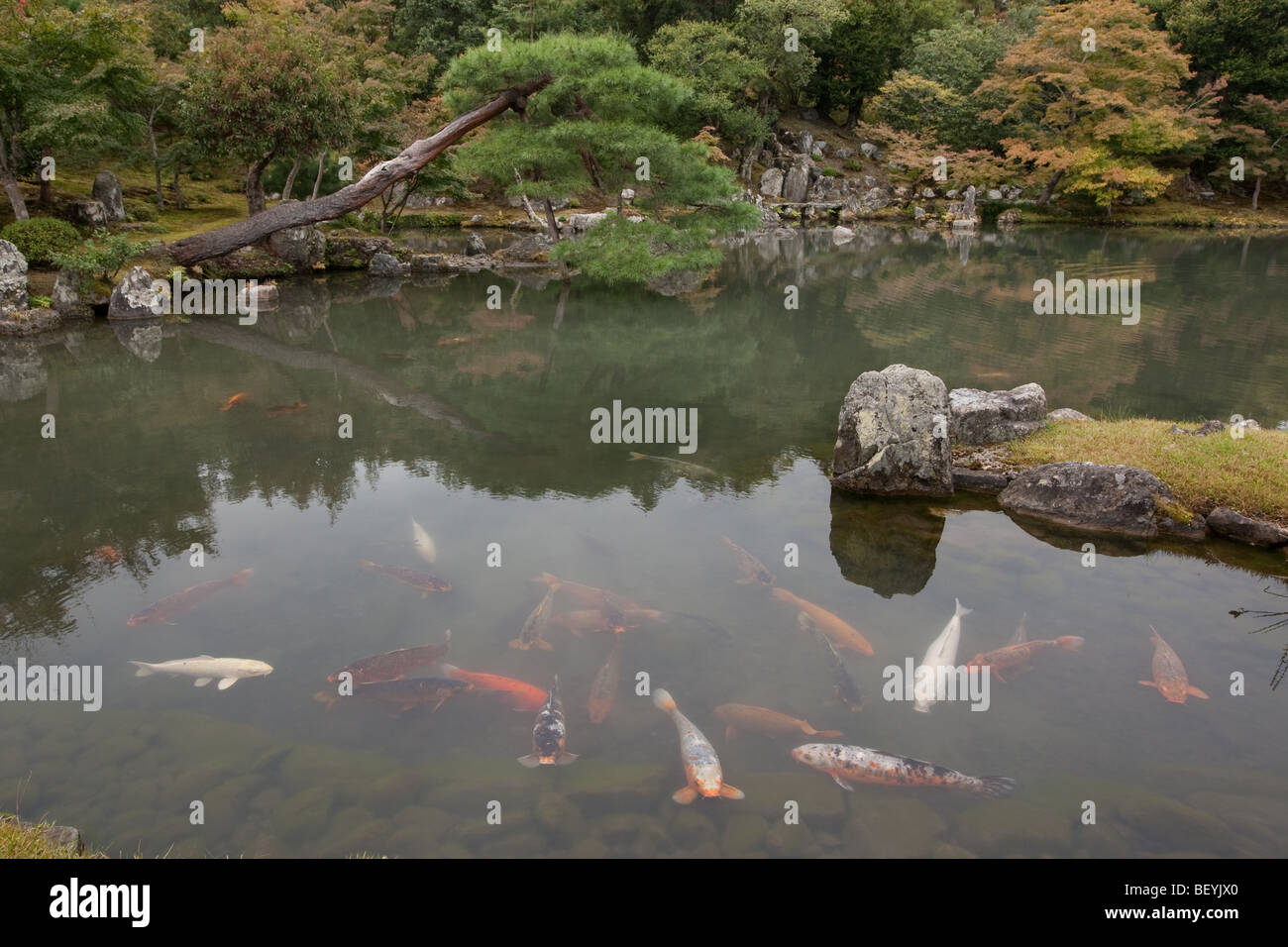 Sogenchi Gärten und den Tempel von Tenryu-Ji, Kyoto, Japan, Samstag, 24. Oktober 2009. Stockfoto