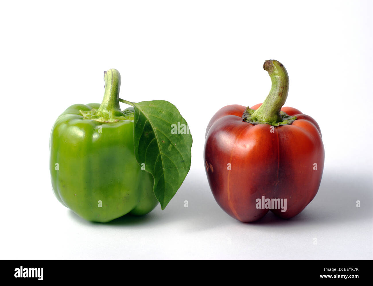 Rote und grüne Paprika Stockfoto