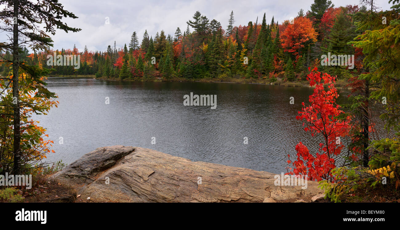 Peck Seenlandschaft Panorama Herbst Natur. Algonquin Provincial Park, Ontario, Kanada. Stockfoto