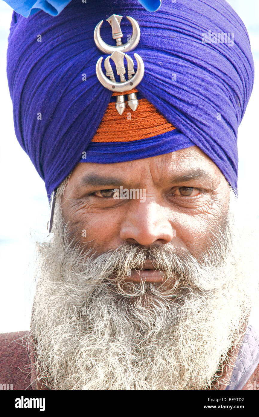Porträt eines Sikhs in Amritsar, Punjab, Indien. Stockfoto